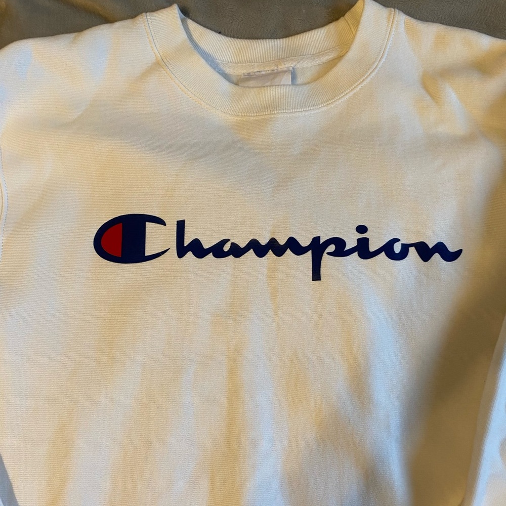 Champion cropped sweater